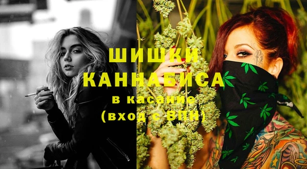 соль курить ск Белокуриха