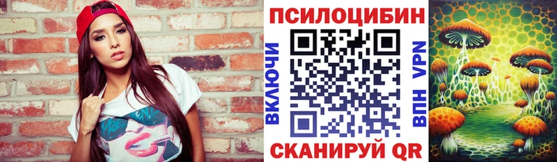 нарко площадка наркотические препараты  где продают наркотики  Севск  Галлюциногенные грибы GOLDEN TEACHER 